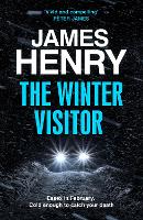 Book Cover for The Winter Visitor by James Henry