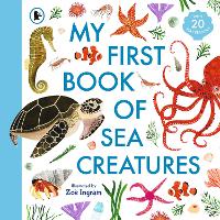Book Cover for My First Book of Sea Creatures by Zoë Ingram