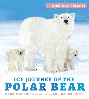 Book Cover for Ice Journey of the Polar Bear by Martin Jenkins