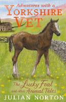 Book Cover for Adventures with a Yorkshire Vet: The Lucky Foal and Other Animal Tales by Julian Norton