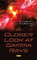 Book Cover for A Closer Look at Gamma Rays by V. P. Singh