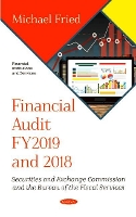 Book Cover for Financial Audit FY2019 and 2018 by Michael Fried