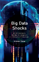 Book Cover for Big Data Shocks by Andrew Weiss