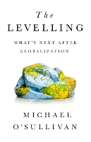 Book Cover for The Levelling by Michael O'Sullivan