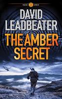 Book Cover for The Amber Secret by David Leadbeater