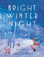 Book Cover for Bright Winter Night by Alli Brydon
