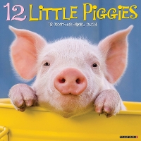 Book Cover for 12 Little Piggies 2024 12 X 12 Wall Calendar by Willow Creek Press