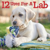 Book Cover for 12 Uses for a Lab 2024 12 X 12 Wall Calendar by Willow Creek Press