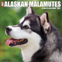 Book Cover for Just Alaskan Malamutes 2024 12 X 12 Wall Calendar by Willow Creek Press