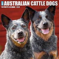 Book Cover for Just Australian Cattle Dogs 2024 12 X 12 Wall Calendar by Willow Creek Press