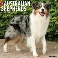 Book Cover for Just Australian Shepherds 2024 12 X 12 Wall Calendar by Willow Creek Press