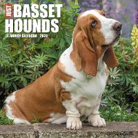 Book Cover for Just Basset Hounds 2024 12 X 12 Wall Calendar by Willow Creek Press