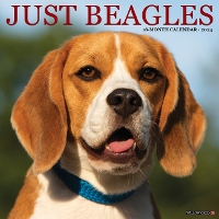 Book Cover for Just Beagles 2024 12 X 12 Wall Calendar by Willow Creek Press