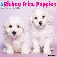 Book Cover for Just Bichon Frise Puppies 2024 12 X 12 Wall Calendar by Willow Creek Press