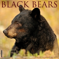 Book Cover for Black Bears 2024 12 X 12 Wall Calendar by Willow Creek Press