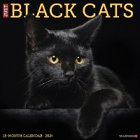 Book Cover for Just Black Cats 2024 12 X 12 Wall Calendar by Willow Creek Press