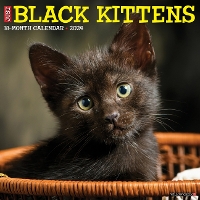 Book Cover for Just Black Kittens 2024 12 X 12 Wall Calendar by Willow Creek Press