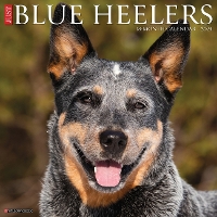 Book Cover for Just Blue Heelers 2024 12 X 12 Wall Calendar by Willow Creek Press