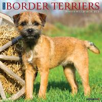 Book Cover for Just Border Terriers 2024 12 X 12 Wall Calendar by Willow Creek Press