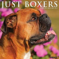 Book Cover for Just Boxers 2024 12 X 12 Wall Calendar by Willow Creek Press