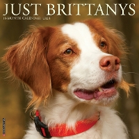 Book Cover for Just Brittanys 2024 12 X 12 Wall Calendar by Willow Creek Press