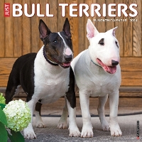 Book Cover for Just Bull Terriers 2024 12 X 12 Wall Calendar by Willow Creek Press