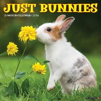 Book Cover for Just Bunnies 2024 12 X 12 Wall Calendar by Willow Creek Press