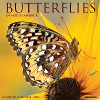 Book Cover for Butterflies 2024 12 X 12 Wall Calendar by Willow Creek Press