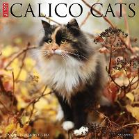 Book Cover for Just Calico Cats 2024 12 X 12 Wall Calendar by Willow Creek Press