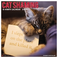Book Cover for Cat Shaming 2024 12 X 12 Wall Calendar by Willow Creek Press