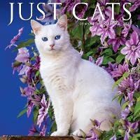 Book Cover for Just Cats 2024 12 X 12 Wall Calendar by Willow Creek Press