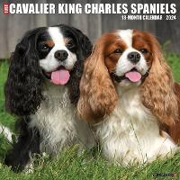 Book Cover for Just Cavalier King Charles Spaniels 2024 12 X 12 Wall Calendar by Willow Creek Press