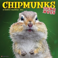 Book Cover for Chipmunks (Gone Nuts!) 2024 12 X 12 Wall Calendar by Willow Creek Press