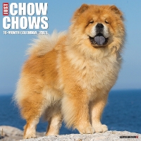 Book Cover for Just Chow Chows 2024 12 X 12 Wall Calendar by Willow Creek Press