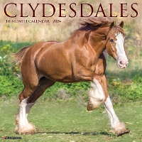 Book Cover for Clydesdales 2024 12 X 12 Wall Calendar by Willow Creek Press