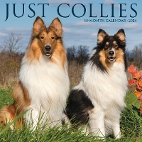Book Cover for Just Collies 2024 12 X 12 Wall Calendar by Willow Creek Press