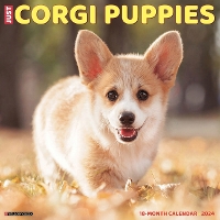 Book Cover for Just Corgi Puppies 2024 12 X 12 Wall Calendar by Willow Creek Press