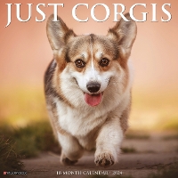 Book Cover for Just Corgis 2024 12 X 12 Wall Calendar by Willow Creek Press