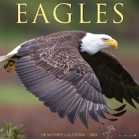 Book Cover for Eagles 2024 12 X 12 Wall Calendar by Willow Creek Press