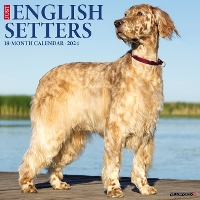 Book Cover for Just English Setters 2024 12 X 12 Wall Calendar by Willow Creek Press