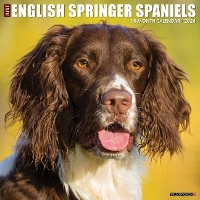 Book Cover for Just English Springer Spaniels 2024 12 X 12 Wall Calendar by Willow Creek Press