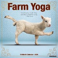 Book Cover for Farm Yoga 2024 12 X 12 Wall Calendar by Willow Creek Press