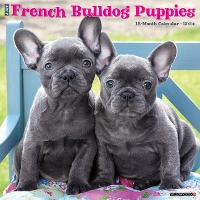 Book Cover for Just French Bulldog Puppies 2024 12 X 12 Wall Calendar by Willow Creek Press