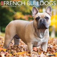 Book Cover for Just French Bulldogs 2024 12 X 12 Wall Calendar by Willow Creek Press