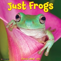 Book Cover for Just Frogs 2024 12 X 12 Wall Calendar by Willow Creek Press