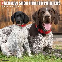 Book Cover for Just German Shorthaired Pointers 2024 12 X 12 Wall Calendar by Willow Creek Press