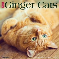 Book Cover for Just Ginger Cats 2024 12 X 12 Wall Calendar by Willow Creek Press