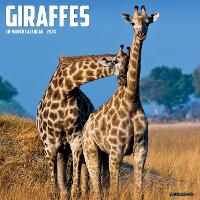 Book Cover for Giraffes 2024 12 X 12 Wall Calendar by Willow Creek Press