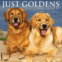 Book Cover for Just Goldens 2024 12 X 12 Wall Calendar by Willow Creek Press