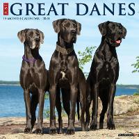 Book Cover for Just Great Danes 2024 12 X 12 Wall Calendar by Willow Creek Press